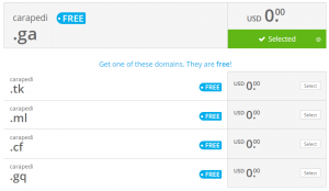 cara membuat domain gratis